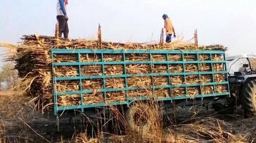 ขายพ่วงบรรทุกอ้อยรถไถ