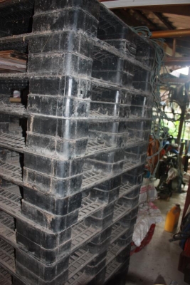 ขายแผ่นพาเลทพลาสติกสีดำ