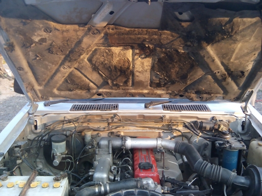 กะบะตอนเดียว NISSAN BIG M TD 25 ปี 94 เครื่องฝาแดง อึด ทน  เครื่องแน่นๆ ช่วงล่างหนึบ ๆ เกียร์ นุ่นๆ วิ่งดี ไม่มีความร้อน แอร์เย็นๆ ข้างในสวย สะอาด  สีสวย ไม่มีริ้วลอย  น่าใช้มากๆ