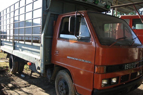 ISUZU NKR