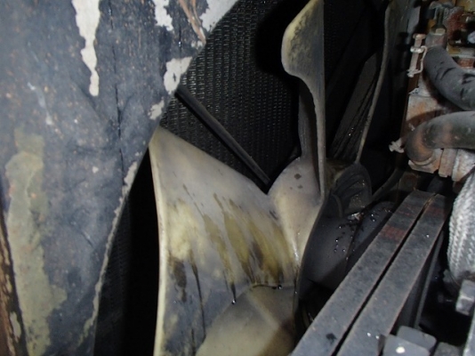 ขายรถตัก TCM 830 ขายรถตัก TCM 830