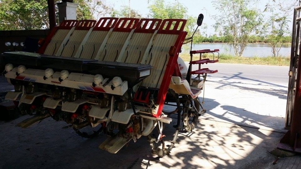 รถดำนานั่งขับ เก่าญี่ปุ่น  YANMAR รุ่น  RR650 เครื่องยนต์ดีเซล ขนาด 12 แรง ดำนา 6 แถว มีกล่องหยอดปุ๋ยด้านท้าย