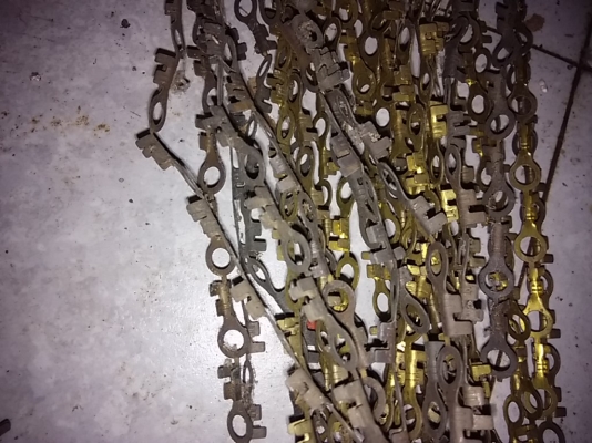 หางปลาทองเหลิอง