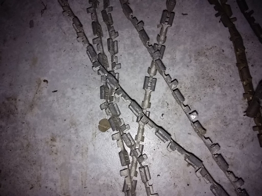 หางปลาทองเหลิอง