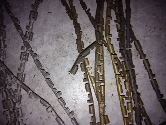 หางปลาทองเหลิอง