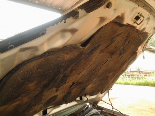 HONDA CIVIC ตาโต 1.6 เกียร์ธรรมดา ไม่เคยกินแกส ภาษีเต็ม ราคานี้เลยจร้าต่อลองได้