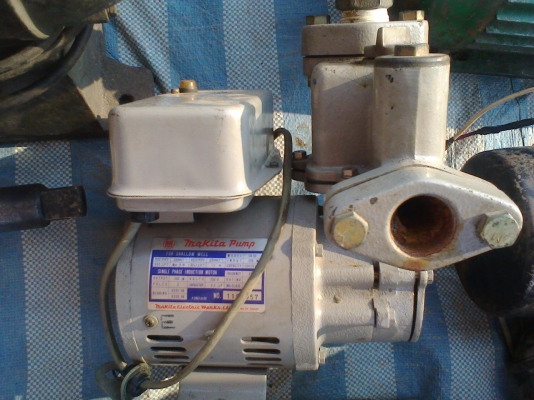 ปัมส่งมากีตา