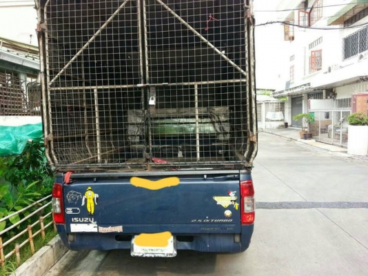 ดีแม็คหัวเดียว หลังคาสูง ปี 2004 เครื่อง 2500 เทอร์โบไม่คอม ดีแม็คหัวเดียว หลังคาสูง ปี 2004 เครื่อง 2500 เทอร์โบไม่คอม