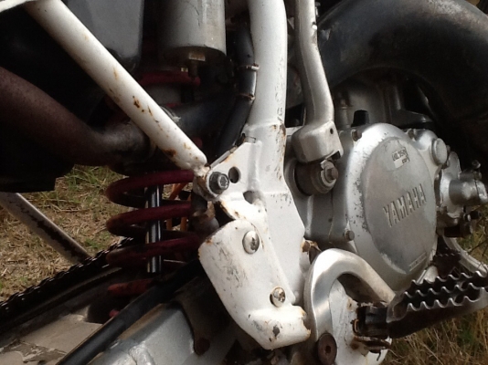 wr250z