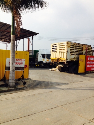 ขายที่ดิน1ไรทำเลทอง