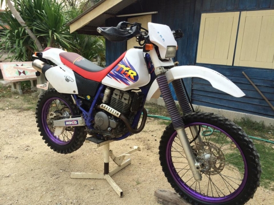ขาย yamaha ttr 250 46500 บาท