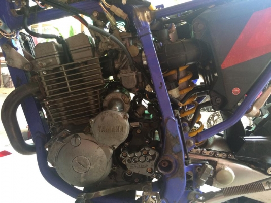 ขาย yamaha ttr 250 46500 บาท