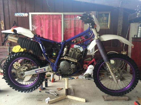 ขาย yamaha ttr 250 46500 บาท