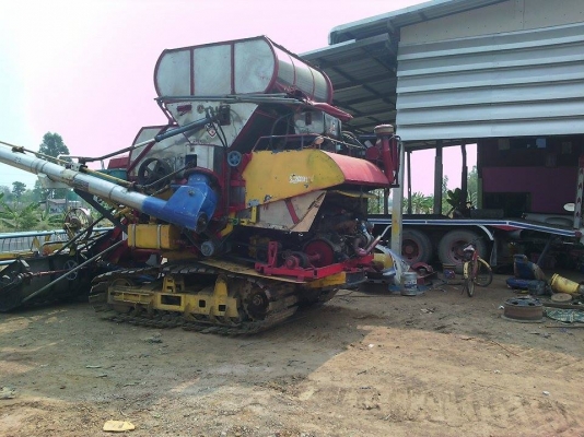 ประกาศขายใหม่ตับเนื่องจากหลุดมัดจำ....ขายเกษตรพัฒนา..ไอ้หนุ่มไวไฟจัมโบ้ ประกาศขายใหม่ตับเนื่องจากหลุดมัดจำ....ขายเกษตรพัฒนา..ไอ้หนุ่มไวไฟจัมโบ้