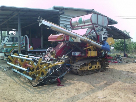 ประกาศขายใหม่ตับเนื่องจากหลุดมัดจำ....ขายเกษตรพัฒนา..ไอ้หนุ่มไวไฟจัมโบ้