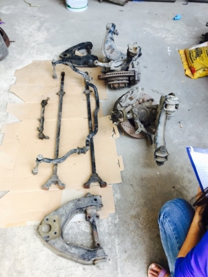 ขายชุดแพรหน้า TIGER ขายชุดแพรหน้า TIGER