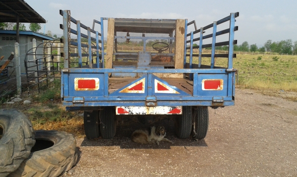 รถอีแต๋นขายด่วน