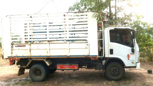 ขายด่วน รถหกล้อ ดั้ม ISUZU NPR 150 ,ปี53 สภาพพร้อมใช้