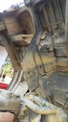 ขายด่วน!!! ไอ้หลง TD ขายด่วน!!! ไอ้หลง TD