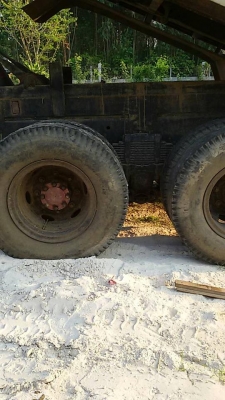 ขายด่วน!!! ไอ้หลง TD ขายด่วน!!! ไอ้หลง TD