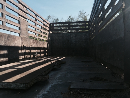 10ลัอดั้ม195แรงFM3HNLD.  ปี39 รถห้างแท้ๆเดิมๆบอดี้ สีไม่สวย คัสซีสวยเครื่องดี เล่มพร้อม