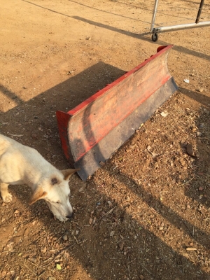 ขายดันหน้าคานบนของคูโบต้าสภาพเดิมๆสวยๆใช้งาน1xx ติดกับรถคูโบต้าL3608 ขายดันหน้าคานบนของคูโบต้าสภาพเดิมๆสวยๆใช้งาน1xx ติดกับรถคูโบต้าL3608