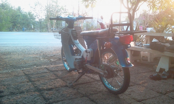 ขาย Honda C50 เครื่องดรีม สภาพสวยๆ (รถไม่มีเล่มทะเบียน เเต่มีใบซื้อขายจากทางร้านให้) ค่าตัว 11500 บาท สนใจทักเเชท หรือโทรสอบถามเพิ่มเติม 089-8054390 / 083-9008343 โอ๋ อยู่จังหวัด ลพบุรี ขาย Honda C50 เครื่องดรีม สภาพสวยๆ (รถไม่มีเล่มทะเบียน เเต่มีใบซื้อขายจากทางร้านให้) ค่าตัว 11500 บาท สนใจทักเเชท หรือโทรสอบถามเพิ่มเติม 089-8054390 / 083-9008343 โอ๋ อยู่จังหวัด ลพบุรี