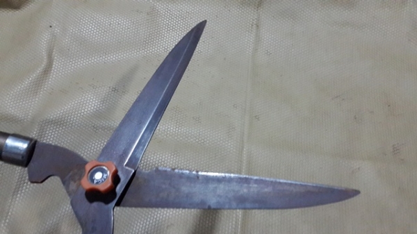 กรรไกรแต่งกิ่ง ดายหญ้า ญี่ปุ่น