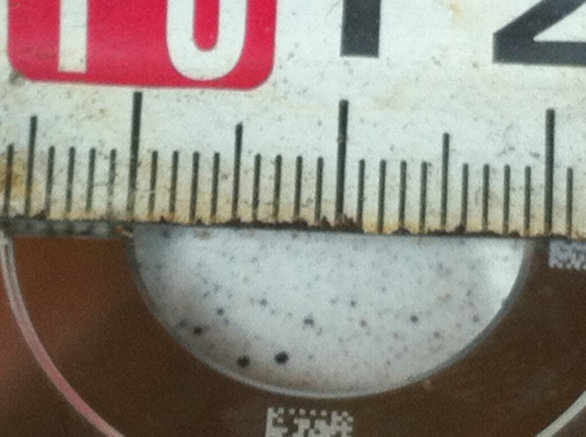 มาใหม่และลดราคา ใบเพชร DIAMOND BLADE ยี้ห้อ DISCO ขนาดโต 55 มม. รูสวม 19 มม.