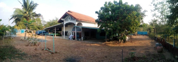 ขายบ้านเดี่ยว 2 ชั้น ต.พนมรอก อ.ท่าตะโก จ.นครสวรรค์