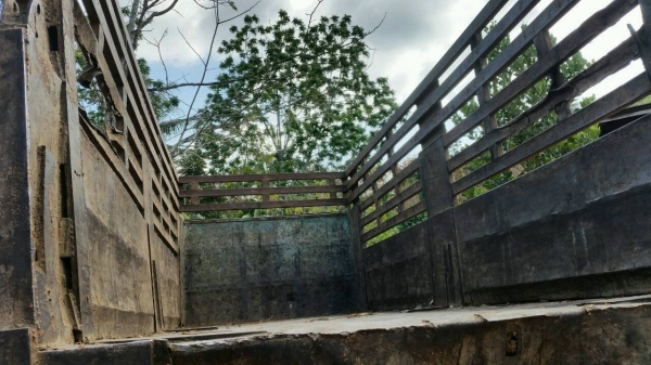 รถฮีโน่ 10 ล้อดั้ม FM3H  195 แรงม้า. ปี 38  สนใจติดต่อ 081  - 6079515