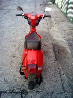 ขายรถป๊อป Honda น่ารักๆ ขายรถป๊อป Honda น่ารักๆ