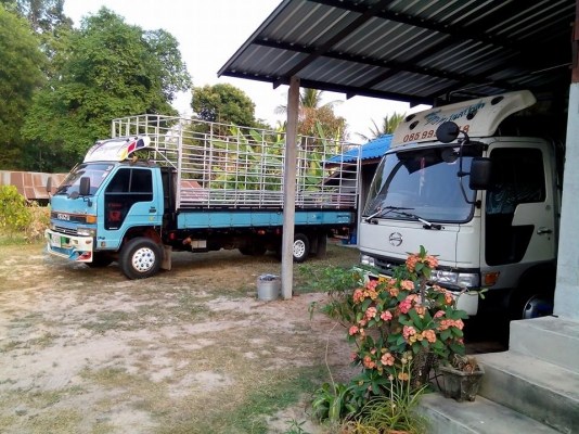 ขาย ELF 115 ยาว 5.50 เมตร