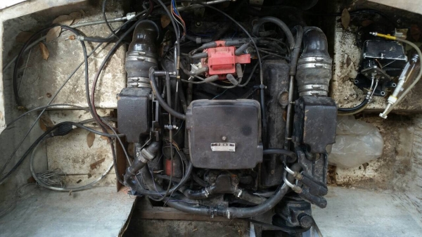 ขายด่วน เรือเร็ว ใช้ตกปลา ท่องเที่ยวพักผ่อน