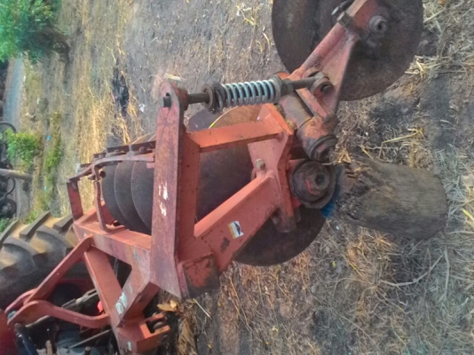 ผานตราช้างใบ26สวยๆ