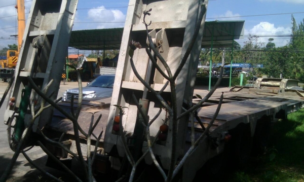 ขายหางโรเบส 3 เพลายัดยังไม่เล่ม ราคา 560000