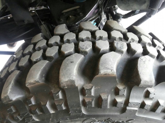 ปล่อยตะขาบ35R16