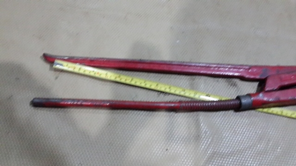 คอม้า ขนาดใหญ่ 30 นิ้ว ปากอ้าได้เกือบ5นิ้ว คอม้า ขนาดใหญ่ 30 นิ้ว ปากอ้าได้เกือบ5นิ้ว