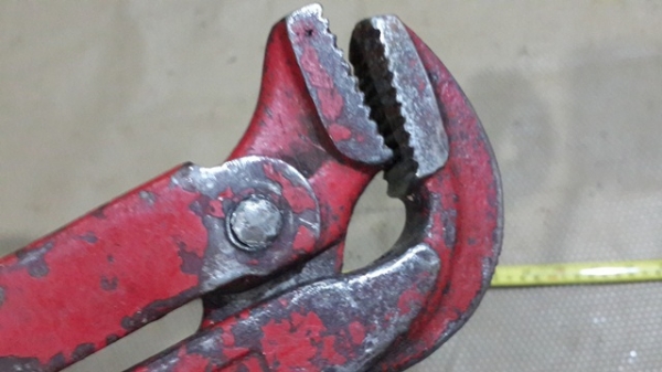 คอม้า ขนาดใหญ่ 30 นิ้ว ปากอ้าได้เกือบ5นิ้ว คอม้า ขนาดใหญ่ 30 นิ้ว ปากอ้าได้เกือบ5นิ้ว