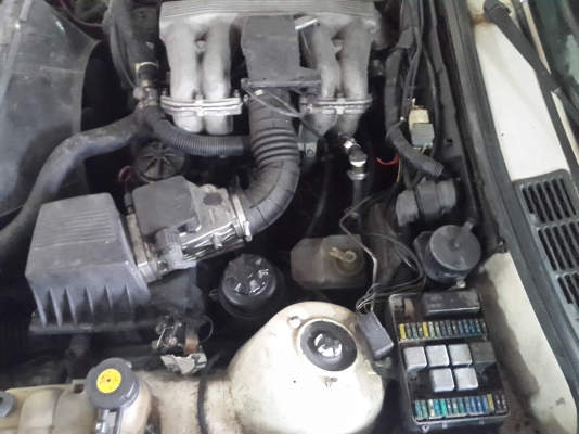 ขาย BWM 316i ปี 86 ขาย BWM 316i ปี 86