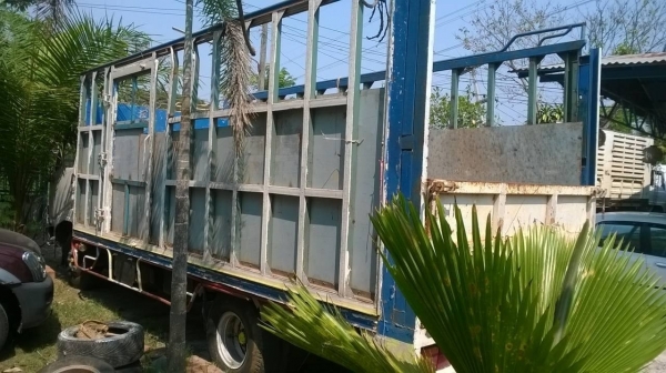 ขาย 6 ล้อ HINO KM779 กระบะยาว 5.50 เมตร เครื่องแน่น คัสซีสวย พวงมาลัยพาวเวอร์ ทะเบียนพร้อมโอน ราคาต่อรองได้ครับ ขาย 6 ล้อ HINO KM779 กระบะยาว 5.50 เมตร เครื่องแน่น คัสซีสวย พวงมาลัยพาวเวอร์ ทะเบียนพร้อมโอน ราคาต่อรองได้ครับ