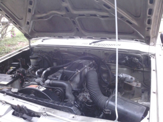 ฟอร์ดมังกรดำ สภาพพร้อมใช้งาน ฟอร์ดมังกรดำ สภาพพร้อมใช้งาน