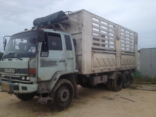 ขายรถ 10 ล้อ ไม่ดั้ม / ISUZU ร๊อกกี้ 1 เพลา 195 นางฟ้า ( มี 3 คัน ให้เลือกครับ )