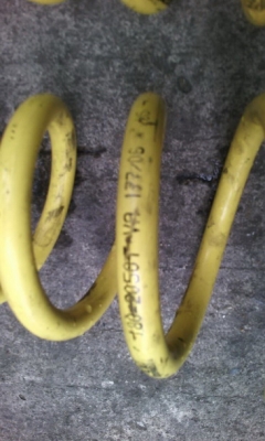 สปิงโคนี่ แอคคอตงูเห่า