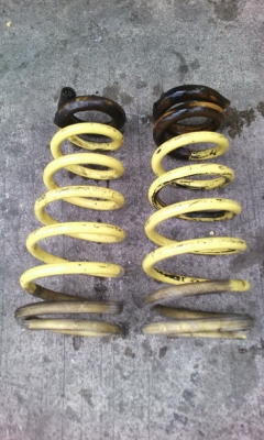 สปิงโคนี่ แอคคอตงูเห่า