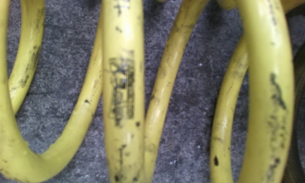 สปิงโคนี่ แอคคอตงูเห่า