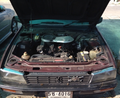 ขายเปอร์โย 505 ขายเปอร์โย 505