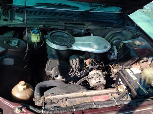 ขายเปอร์โย 505 ขายเปอร์โย 505