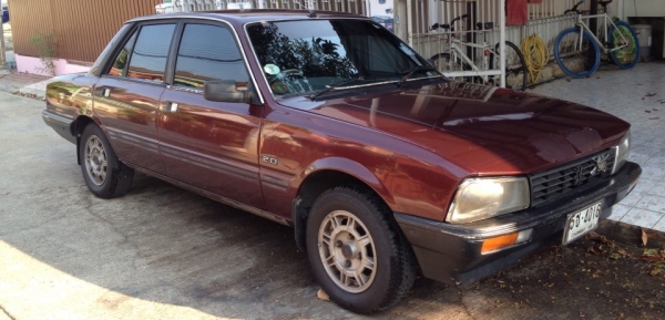 ขายเปอร์โย 505