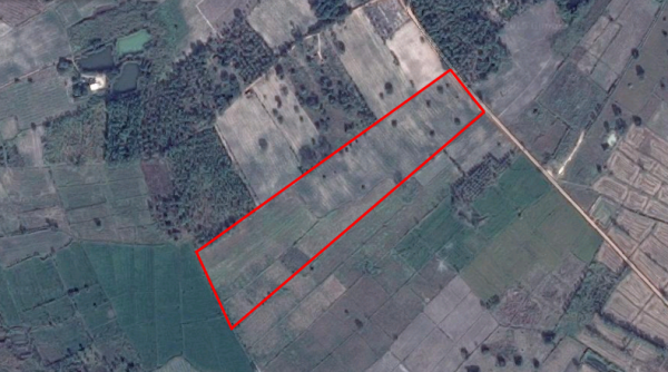 ขายที่ดิน 62-2- 98 ไร่ ต.วังชะพลู อ.ขาณุวรลักษบุรี จ.กำแพงเพชร